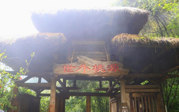 沪江开心词场
