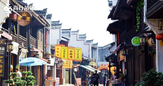 拯救蝙蝠家族